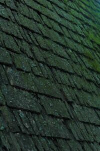 A person uses a soft roof rake from the ground beside a shingled home with clear gutters.