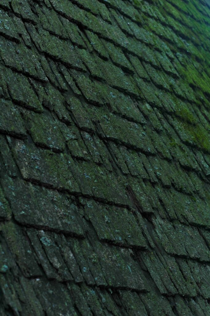 A person uses a soft roof rake from the ground beside a shingled home with clear gutters.