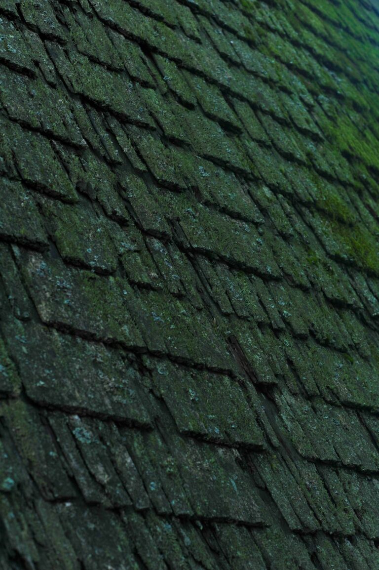 A person uses a soft roof rake from the ground beside a shingled home with clear gutters.